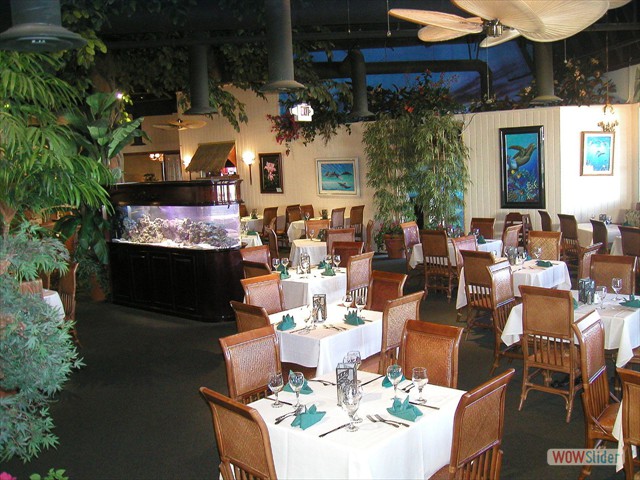 Hawaiian Restaurant Showing Tank Interior Design